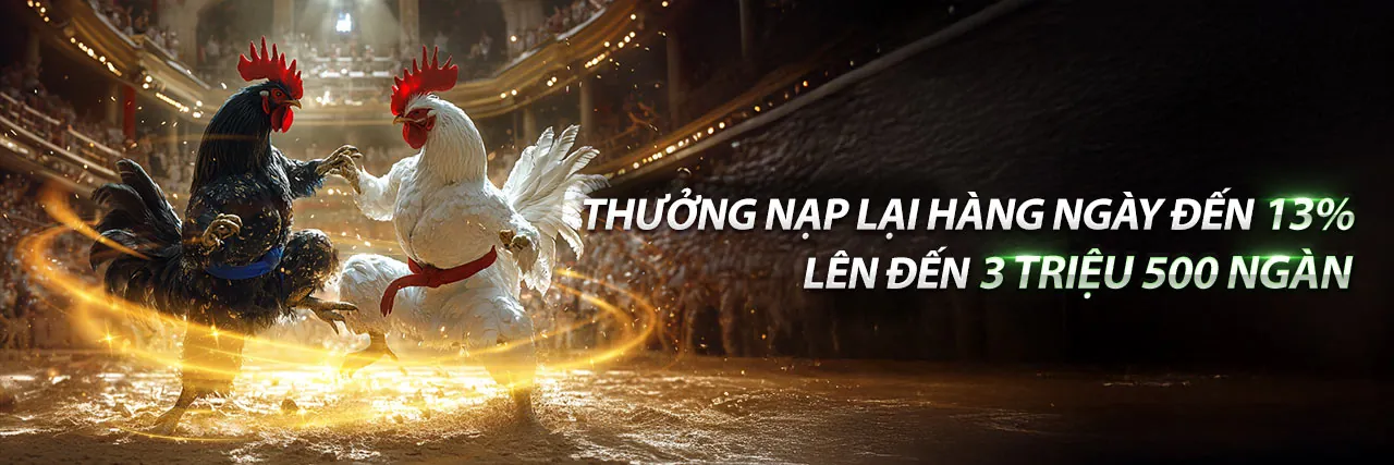 Đá Gà Trực Tuyến heloo88